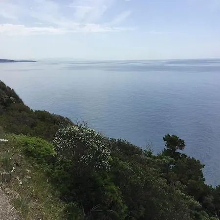 Centro Con Le Comodità *